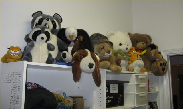 My stuffed animals. 

Say something, I dare you.