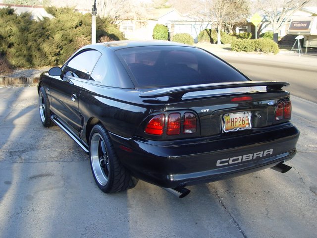 cobra20