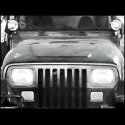 The YJ