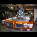 blown goat