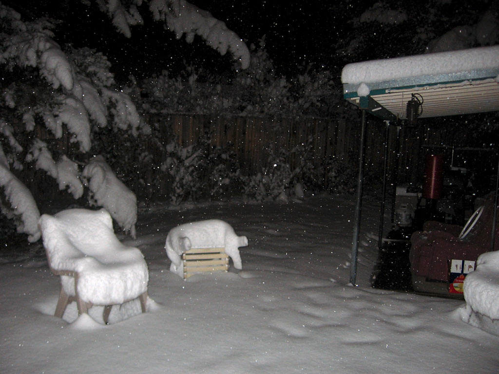 Snow on Friday Dec. 29th, 2006 at Night.