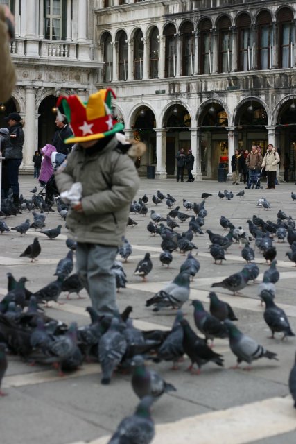 Another little boy chasing pigeons.