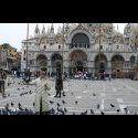 Birds evereywhere.  The Bisilica in the background.