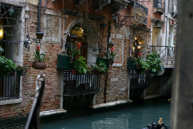 Plants along a waterway.  That's the actual color of the water.