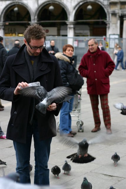 Feeding the birds