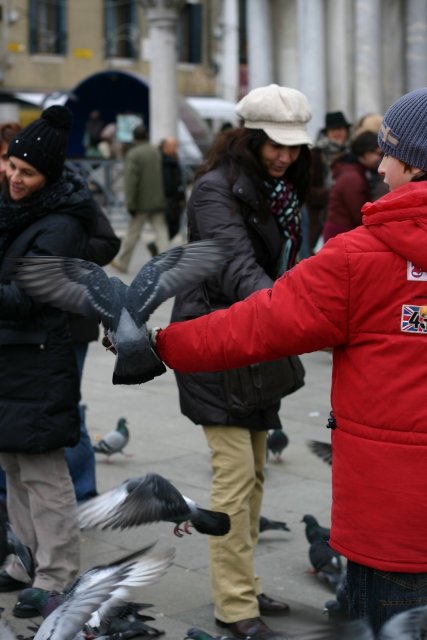 ...and more feeding the birds.