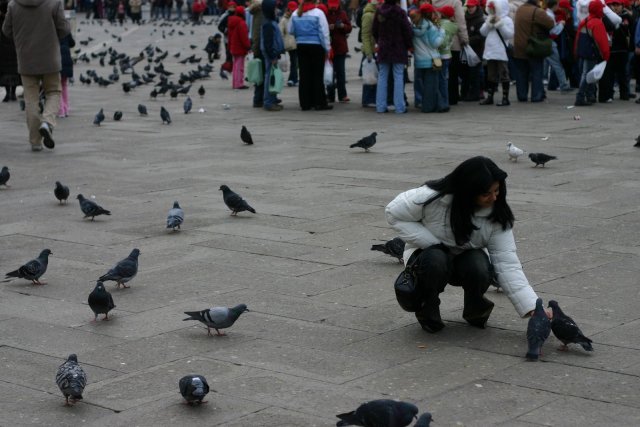 More feeding the damn birds.