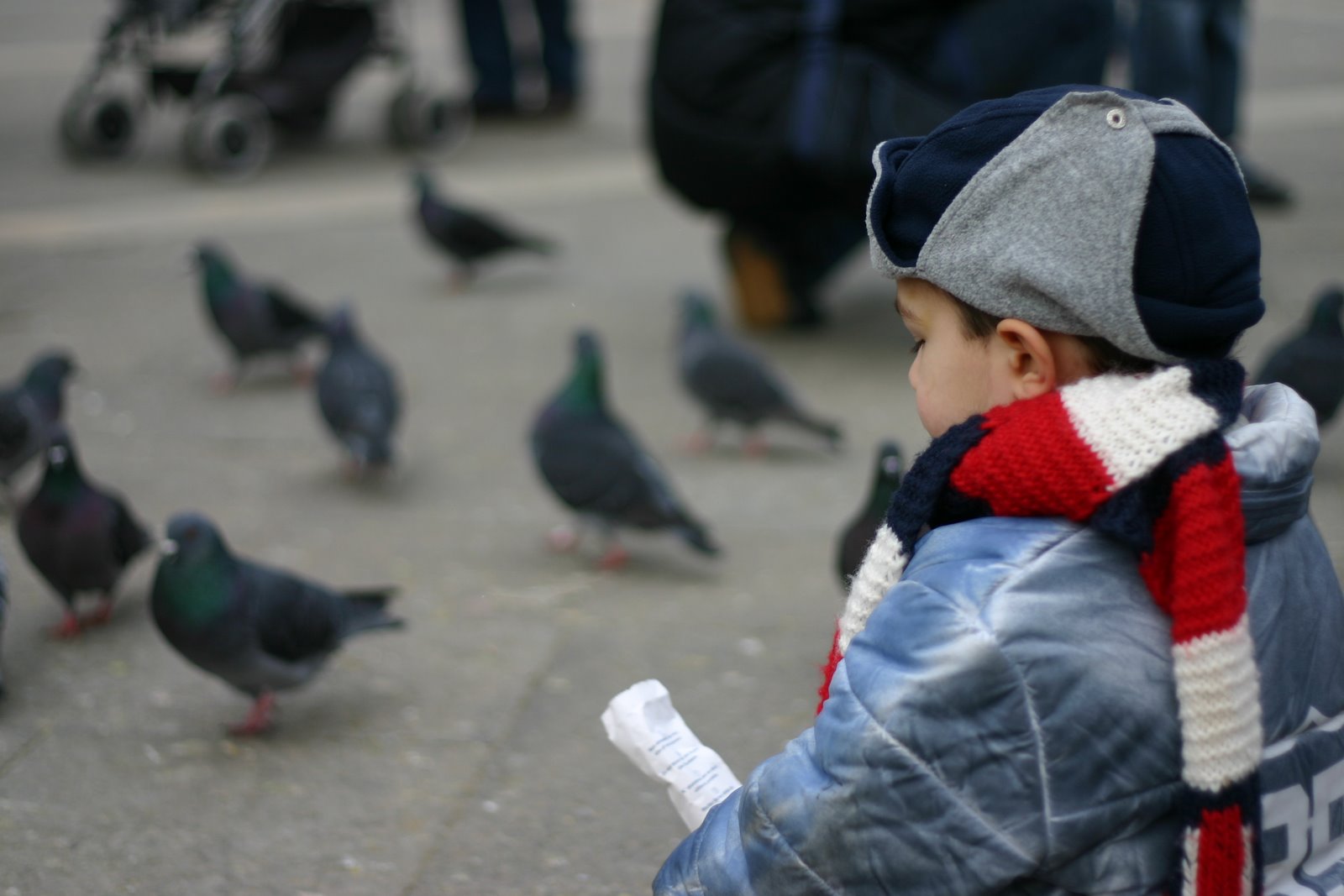 ...and again, feeding the pigeons.