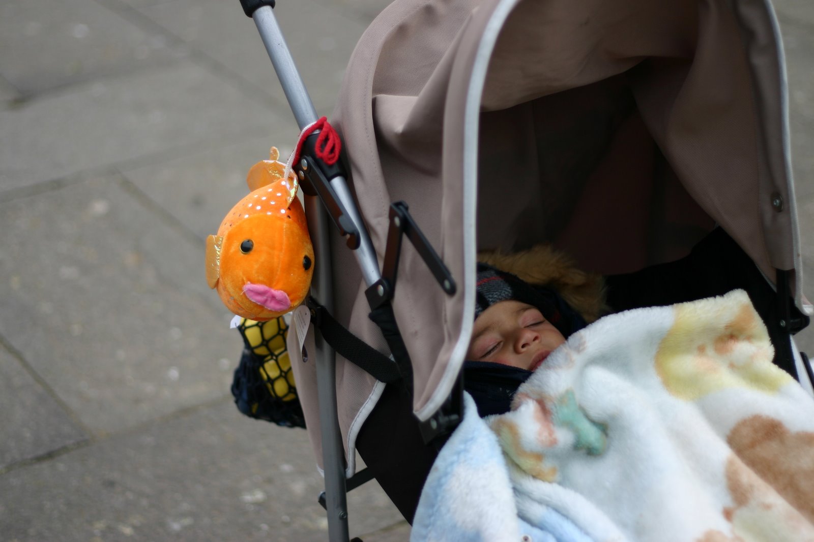 Orange fish and sleeping child.