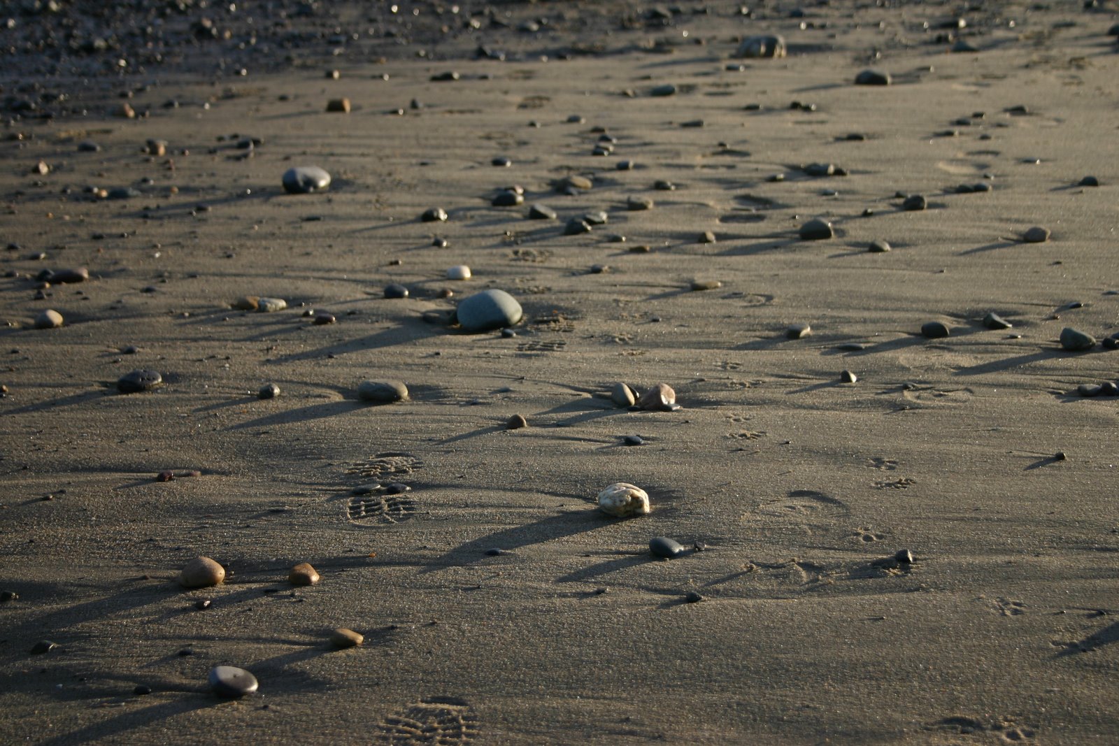 The sun at 2pm was way south on the horizion, casting long shadows over everything.