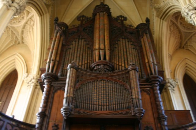 The pipes for the organ.