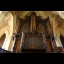 The pipes for the organ.