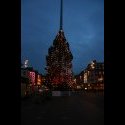 Dublin's Christmas tree.