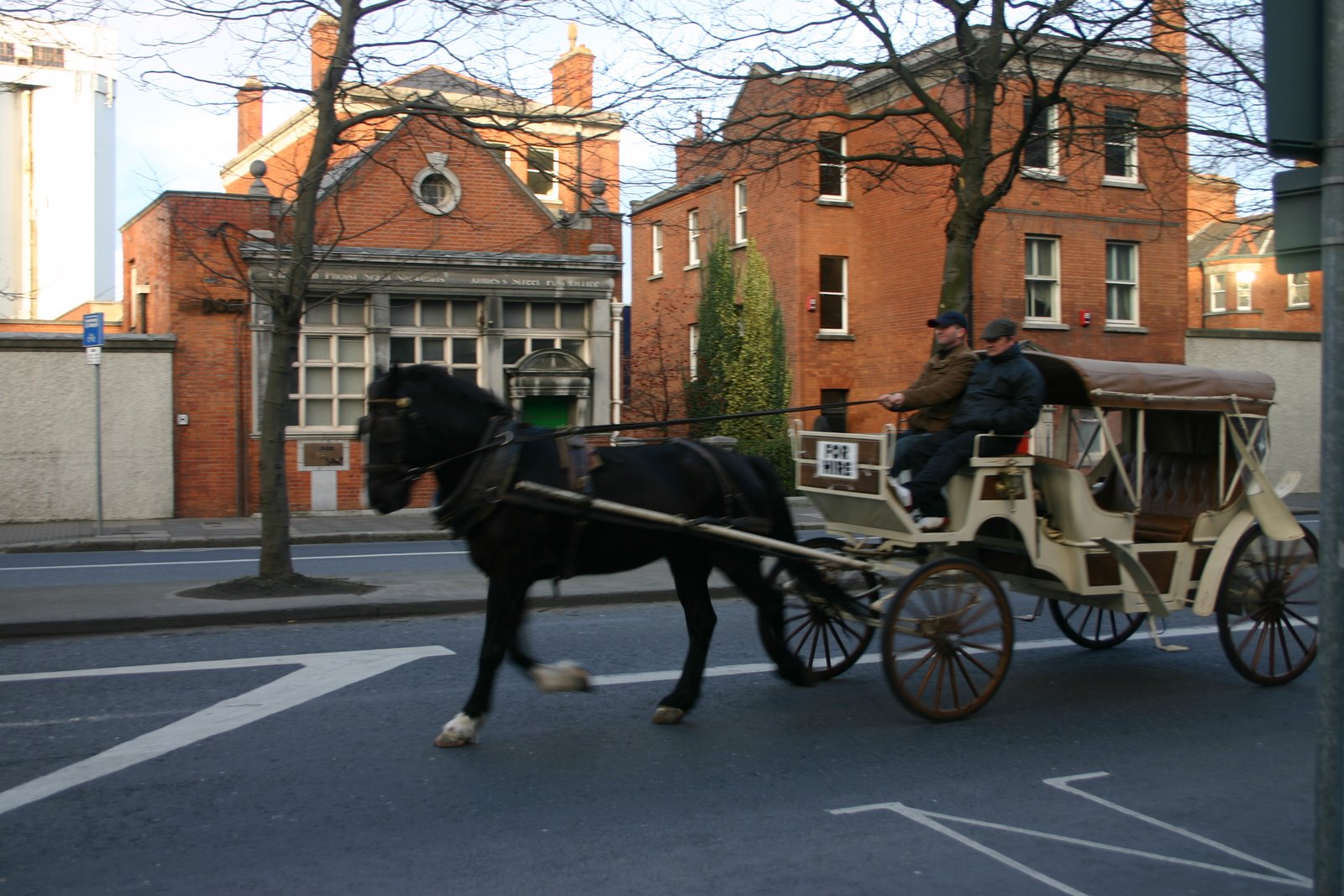 A horse driven buggy in Dublin, near the Guinness Factory.