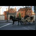 A horse driven buggy in Dublin, near the Guinness Factory.