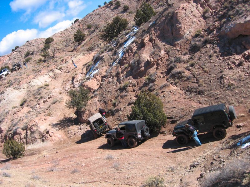 One of the obstacles, everyone was going left around that tree then up that trail in a reverse S shape.