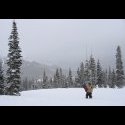 Danny IN the snow at Wolf Creek.