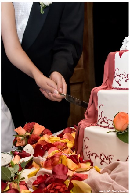 Cutting the cake, tight shot.