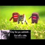 godkills