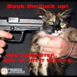 hititbackup