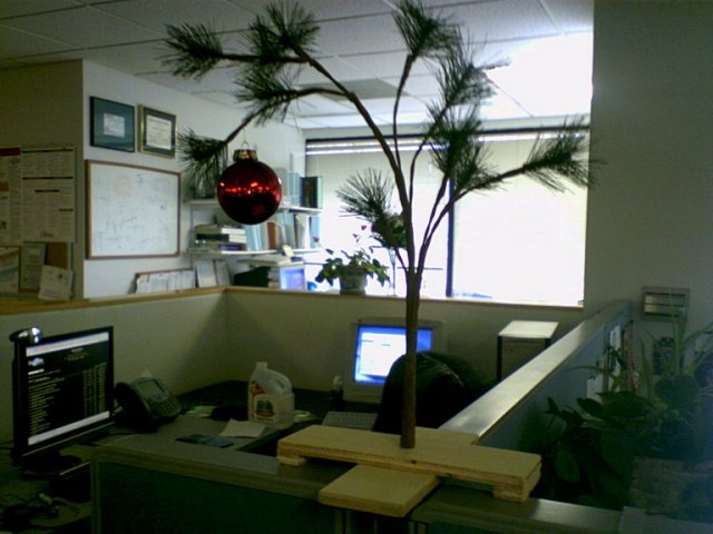 My Charlie Brown tree at work :)