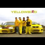 yellowbird