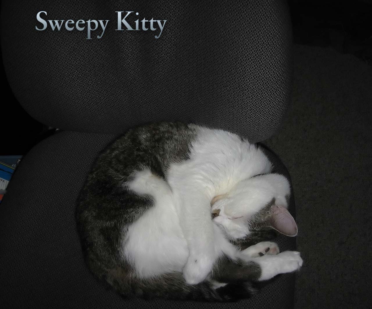 satan4-sweepy.jpg