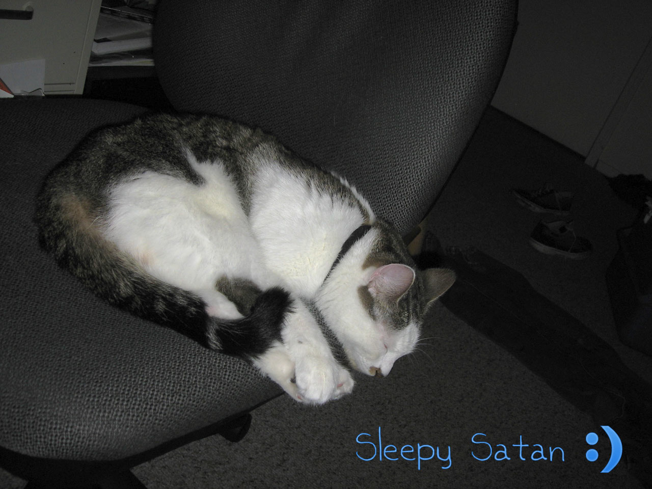 Satan_Kitty3.jpg