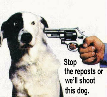 Stop the Reposts or we'll shoot this dog..