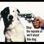 Stop the Reposts or we'll shoot this dog..
