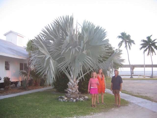 St Pete 07 044