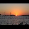 St Pete 07 045