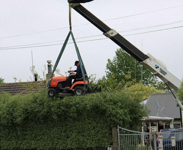 redneck hedge trimmer