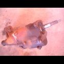 DSC07714