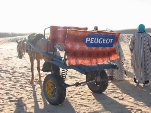 peugeot.jpg